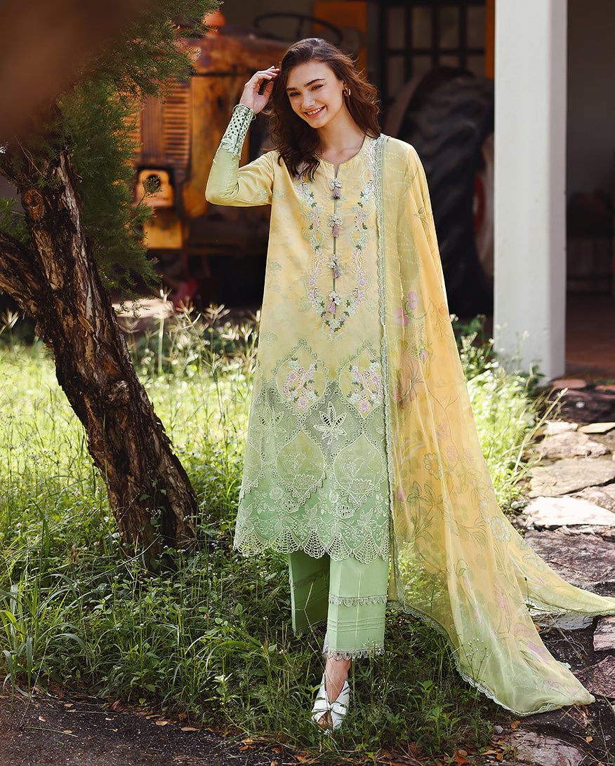 Solace | Ombre Chikankari By Mushq | Quiet Bloom