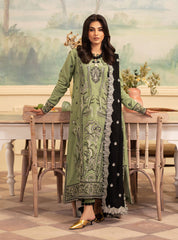 Meraki Winter Collection'24 By Roheenaz Olivia