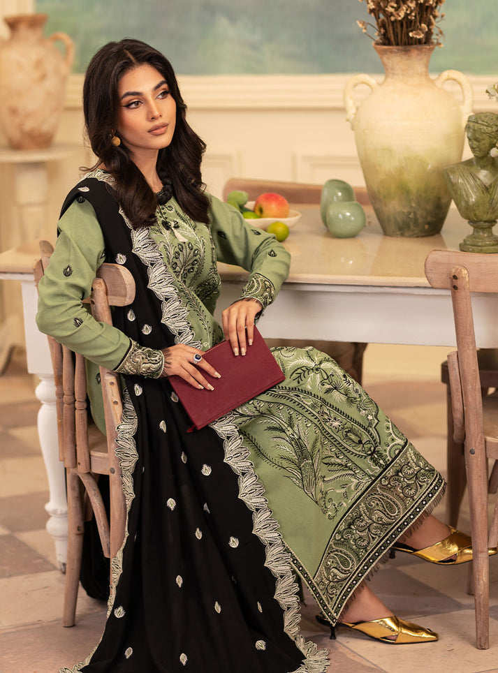 Meraki Winter Collection'24 By Roheenaz Olivia