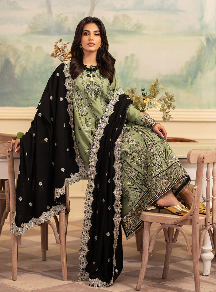 Meraki Winter Collection'24 By Roheenaz Olivia