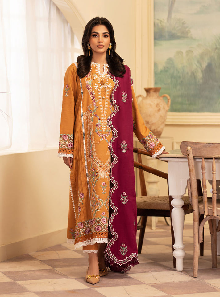 Meraki Winter Collection'24 By Roheenaz Saffron