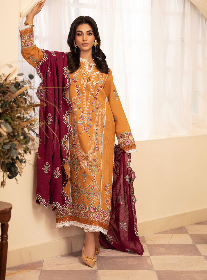 Meraki Winter Collection'24 By Roheenaz Saffron