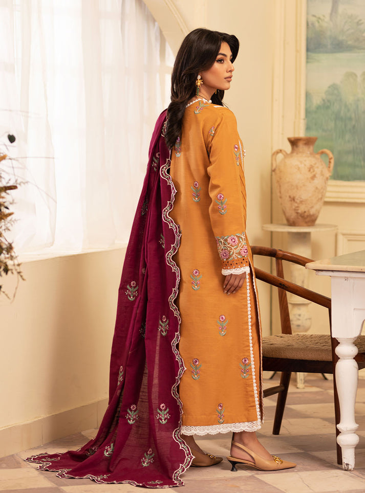 Meraki Winter Collection'24 By Roheenaz Saffron