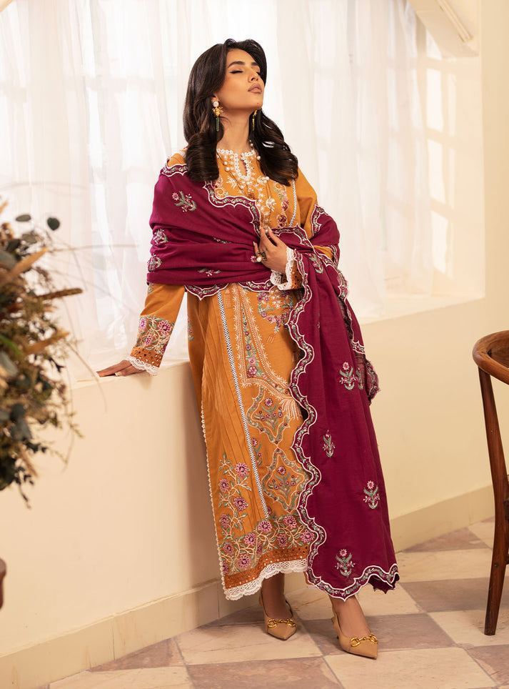 Meraki Winter Collection'24 By Roheenaz Saffron