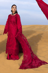 Rang Rasiya Premium Summer Collection '26 | Rameen