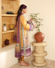 Roheenaz Amaaya Pareesa Printed collection outfit 2025