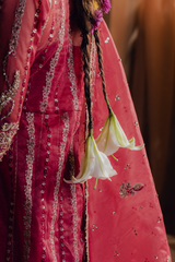 Zarposh JAHANARA LUXURY FORMALS '26 | MEHRUNISA