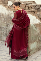 Schiffli embroidered front and back borders of formal dress