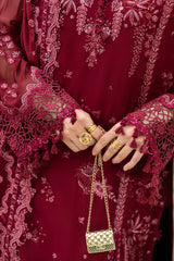 Schiffli patchwork on sleeves of Qalamkar chiffon formal outfit
