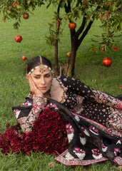 Hussain Rehar The Doll House Festive '26 | Shahnoor