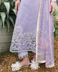 Mushq The Secret Garden | Lawn '26 | Velvet Ivy