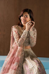 Hayat Wedding Formals '25 by Afrozeh | Zaviyah