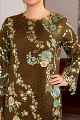 ASIFA AND NABEEL - Plush Winter'26 - Hazel Hue (WLXU-02)