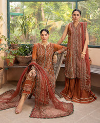 Xenia Formals SOPHIEE embroidered chiffon front and net dupatta dress