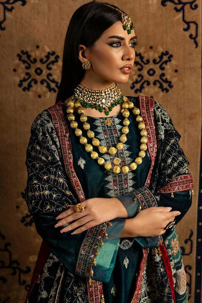 Luxury Velvet Collection '23 By Shaista Design-273
