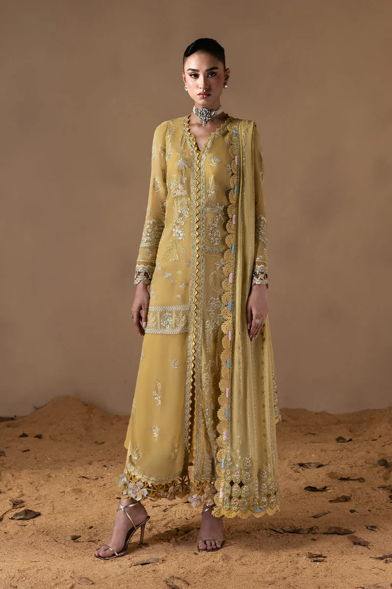 Zarposh Cymelle embroidered chiffon shirt with organza border – Moonlit Muse