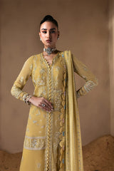 Zarposh Cymelle embroidered sleeves and chiffon panels detail