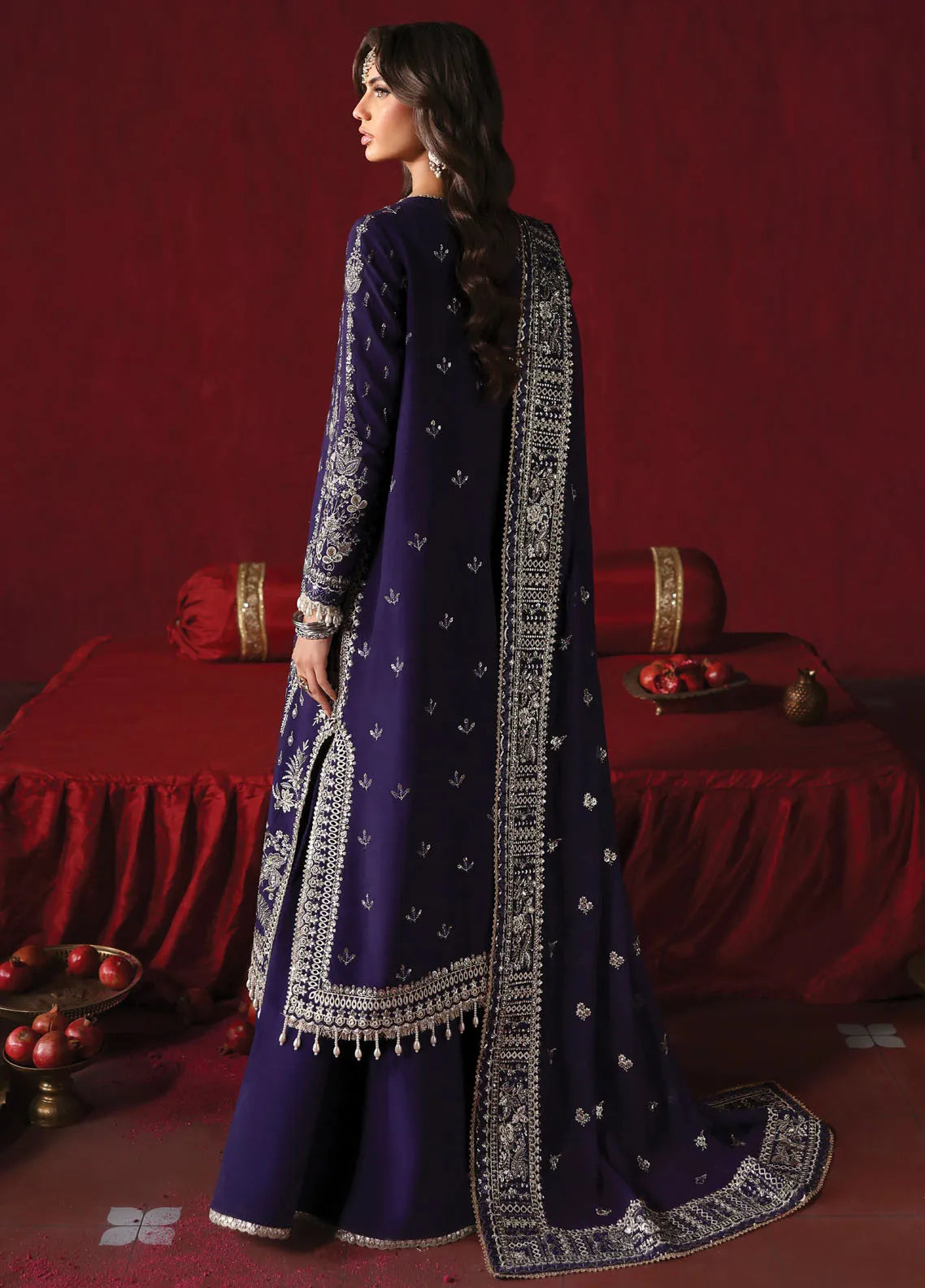 Afrozeh | Kaneez | Divani The Silk Edits'23