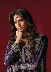 Afrozeh | Kaneez | Divani The Silk Edits'23