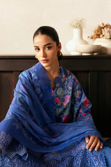 Embroidered Sleeve Detail - Mist Woven Lawn Suit