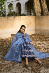 Organza embroidered dupatta from Afrozeh Shiddat