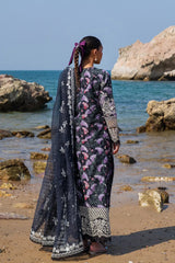 Silk Organza Dupatta with Embroidery - Afrozeh Velour Lawn Suit