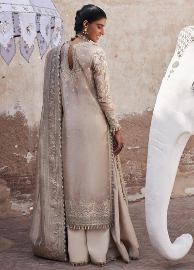 Dastangoi Embroidered Wedding Collection '23 By Afrozeh AWE-23-V1-04 Ulfat