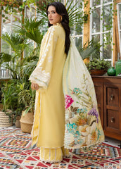 Solid dyed lawn back fabric from Elaf Chikankari collection