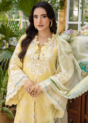 Chikankari embroidered sleeves of Elaf EEC-2B dress