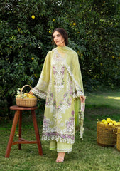 Elaf Luxury Lawn '26 | ELY-08 PISTACHIA