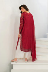 Back Lace Detailing - Iznik IFE-01 Lawn Suit