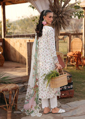 Sardinia Festive Lawn '26 | Primrose