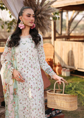 Sardinia Festive Lawn '26 | Primrose