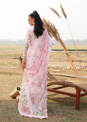 Sardinia Festive Lawn '26 | Rose Bud