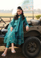 Sardinia Festive Lawn '26 | Tealwood