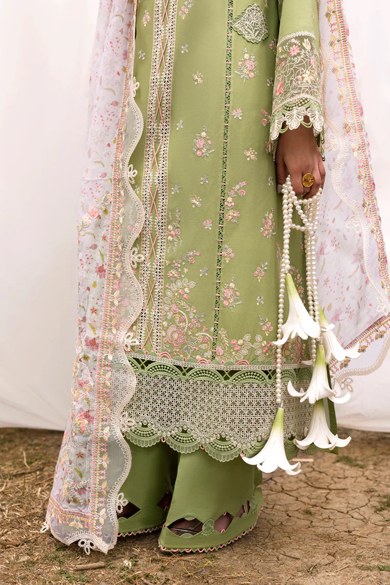 Hand-Embroidered Chikankari Detail - Qalamkar Qlinekari Collection