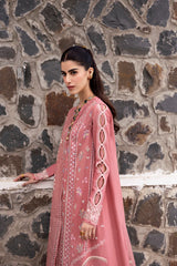 Embroidered Sleeve Border - Qalamkar DC-03 Moya