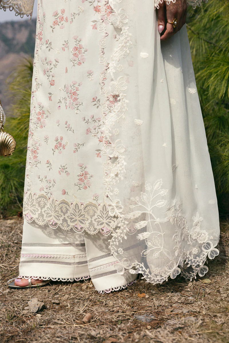 Intricate Dupatta Pallu Embroidery – DC-13 Miri
