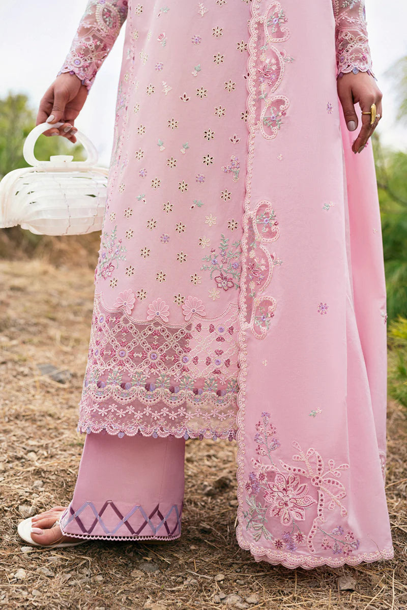 Intricate Pallu Embroidery - Qlinekari Collection