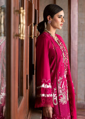 Pair of embroidered sleeves for FAYE 7-B by Saira Shakira