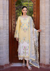 Detailed embroidery on the front lower daman in lime yellow