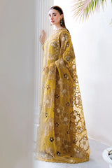 Ramsha | H-506 | Traditional Formals