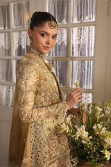 Afrozeh | 1073- Goldveil | DASTAN GOI'2025