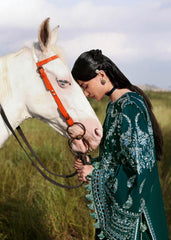 Hussain rehar khaddar  Unstitched 25 | Johar