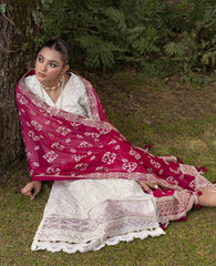Embroidered Chiffon Dupatta - Xenia SHAQRAA Set