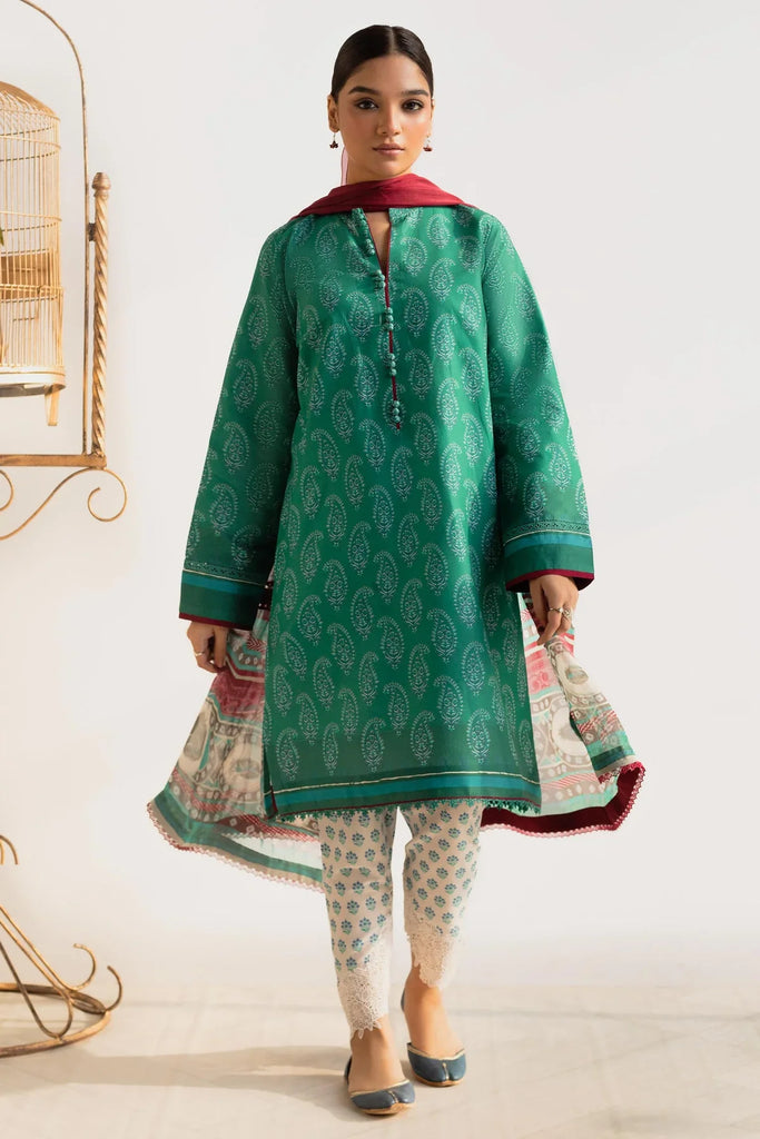 Coco Prints Collection '24 By Zara Shahjahan CHAAP-D4