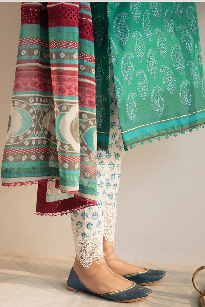 Coco Prints Collection '24 By Zara Shahjahan CHAAP-D4