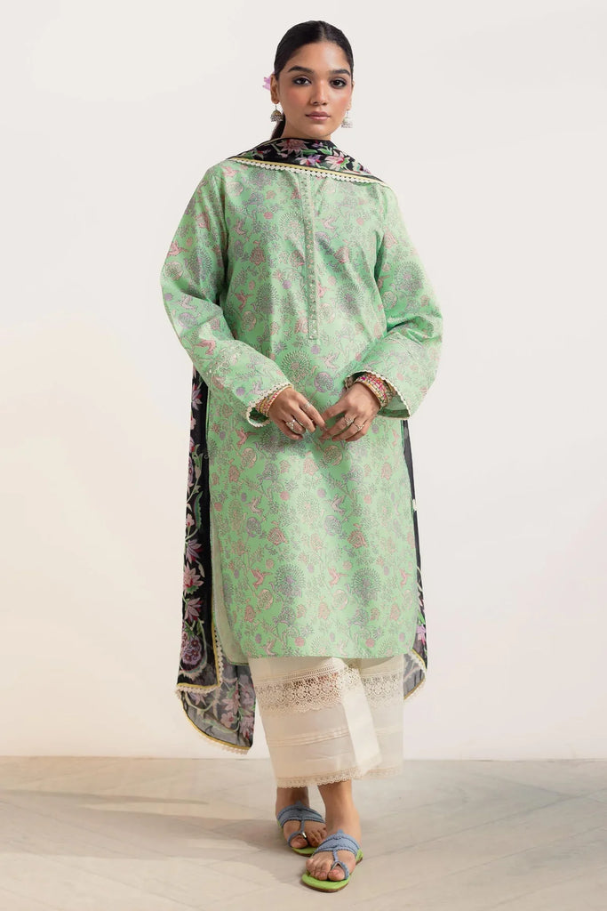 Coco Prints Collection '24 By Zara Shahjahan MEHAK-D6